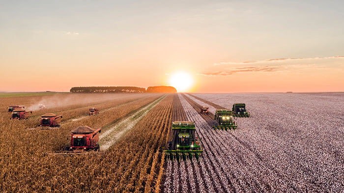 Máquinas agrícolas trabalhando